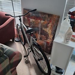 Kent Seachange Bike Has Slow Leak In Tires Bikes In Oerfect Used Condition Just Needs The Slow Leak Fix