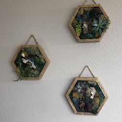 Home Decor / Wall Decorations / Art