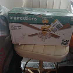42 In Ceiling Fan .. New In Box