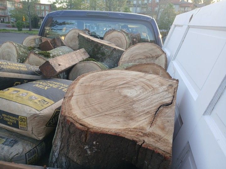Alder Firewood Rounds
