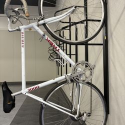 Trek 2000