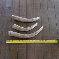 Elk Antler Dog Chews