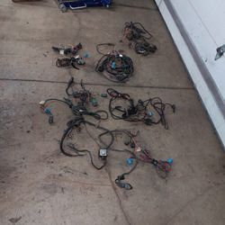 Western  Plow Harnesses 