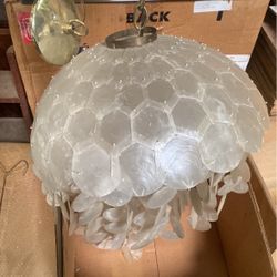 Hanging She’ll Lamp  New Never Installed