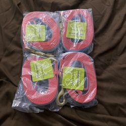 dog leash