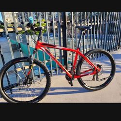 Specialized Custom Build 28ich/Size Larhrllmm