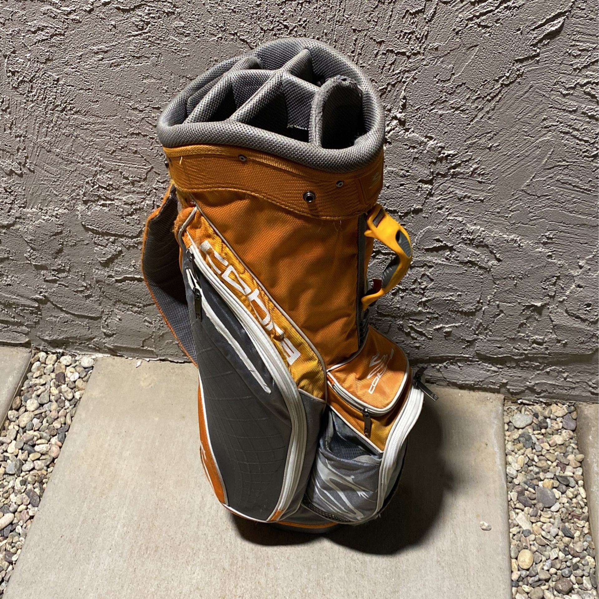 Cobra Golf Bag
