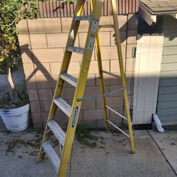 Werner Ladder 7ft
