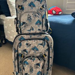 Pottery Barn Luggage Set