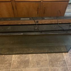 55 Gallon Fish Tank With Stand