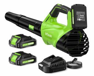 Leaf Blower Cordless With 2 batteries