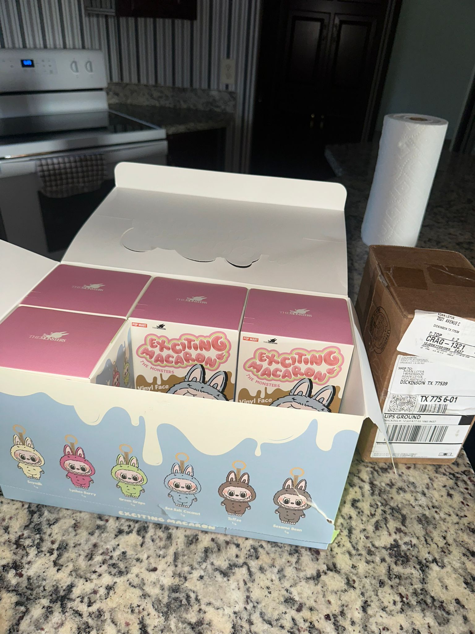 Labubu Exiting Macaron