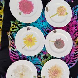 Porcelain Plates 
