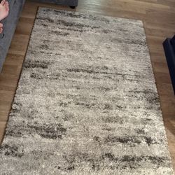 Broyhill 5 x 7 Area Rug