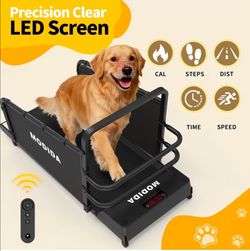Treadmill for dogs