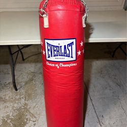 Everlast Heavy Punching Bag w/ Chains – Great Condition 🥊