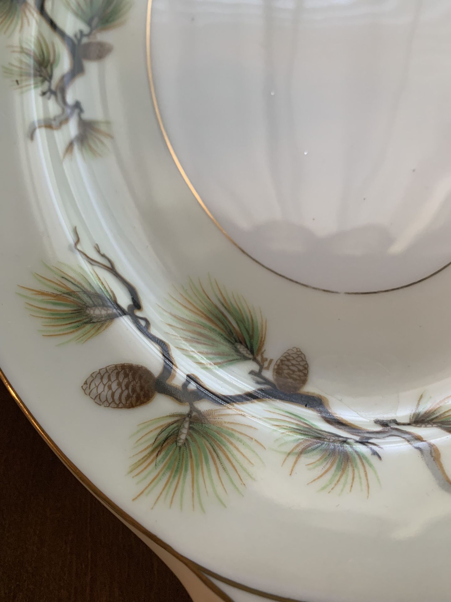 Dishes , Shasta Pine Cones