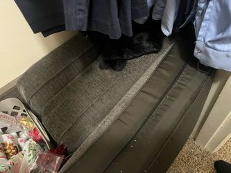 Couch sofa bed with chaise!! In great condition !!!