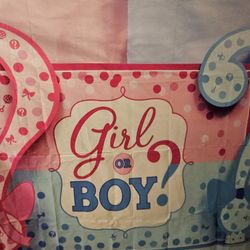 Gender Reveal 