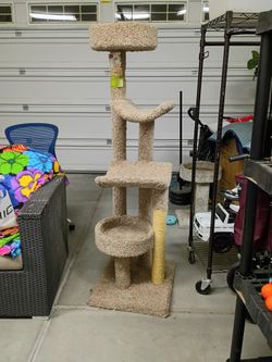 6 Ft Cat Tree Excellent Condition