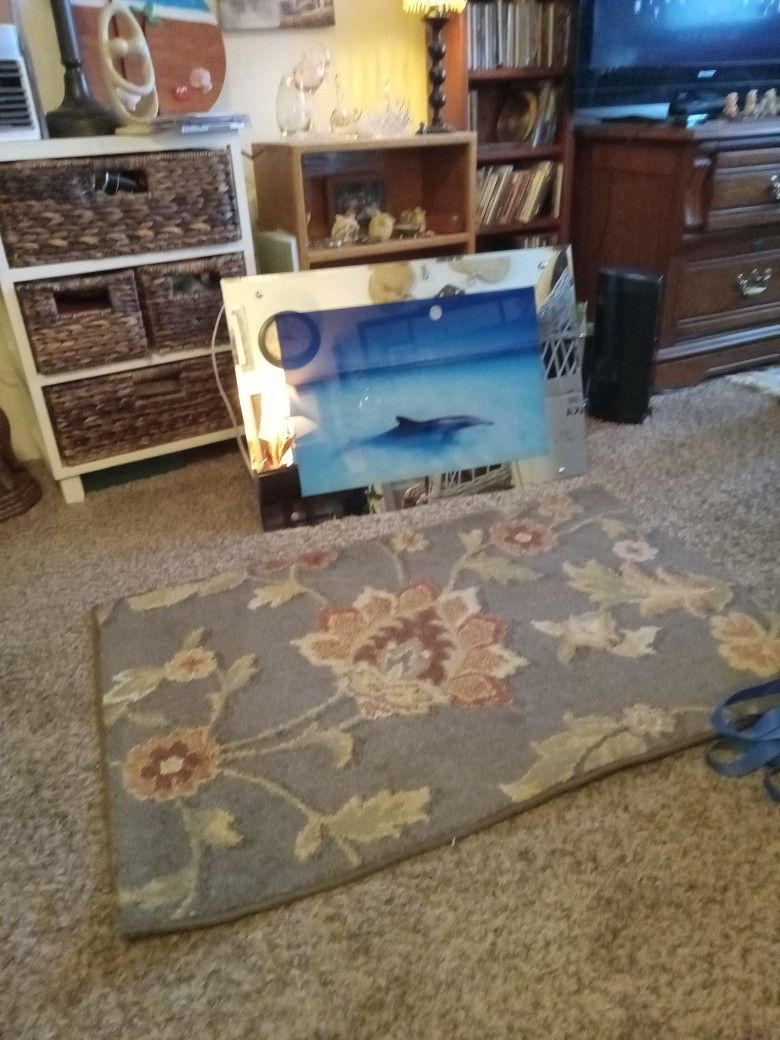 Mirror With Dolphin Picture Lighted And Ocean Sound Plug In