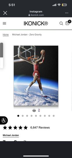 Michael Jordan Canvas