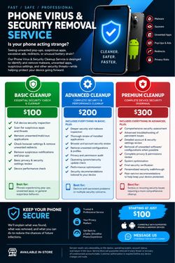 Virus Removal Service
