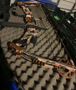 Hoyt Tricon XL Compound Bow