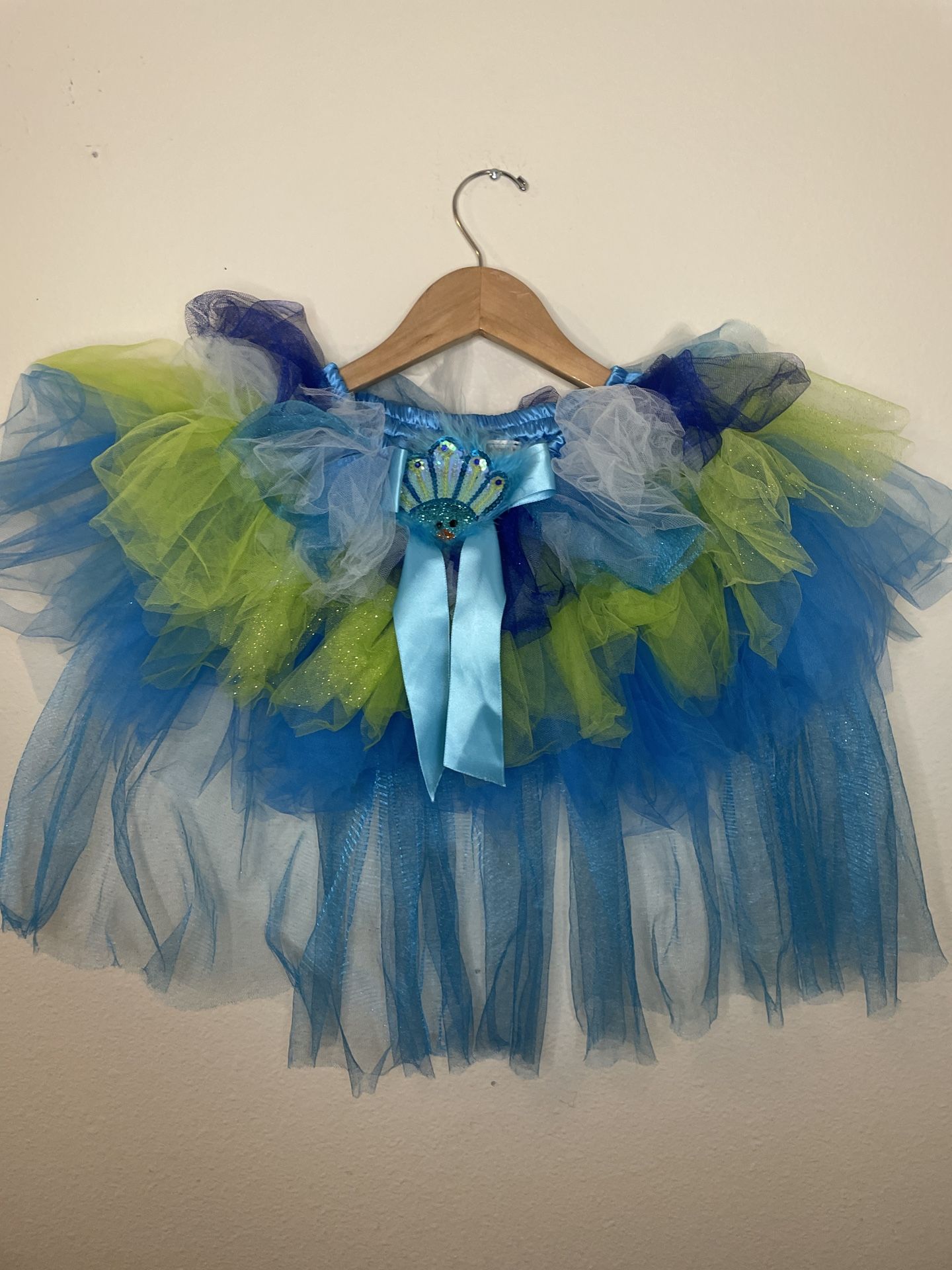 Youth Peacock Skirt Tutu Costume