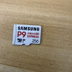 Samsung p9 express 256gb SD card.