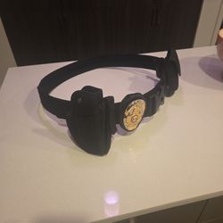 Security belt