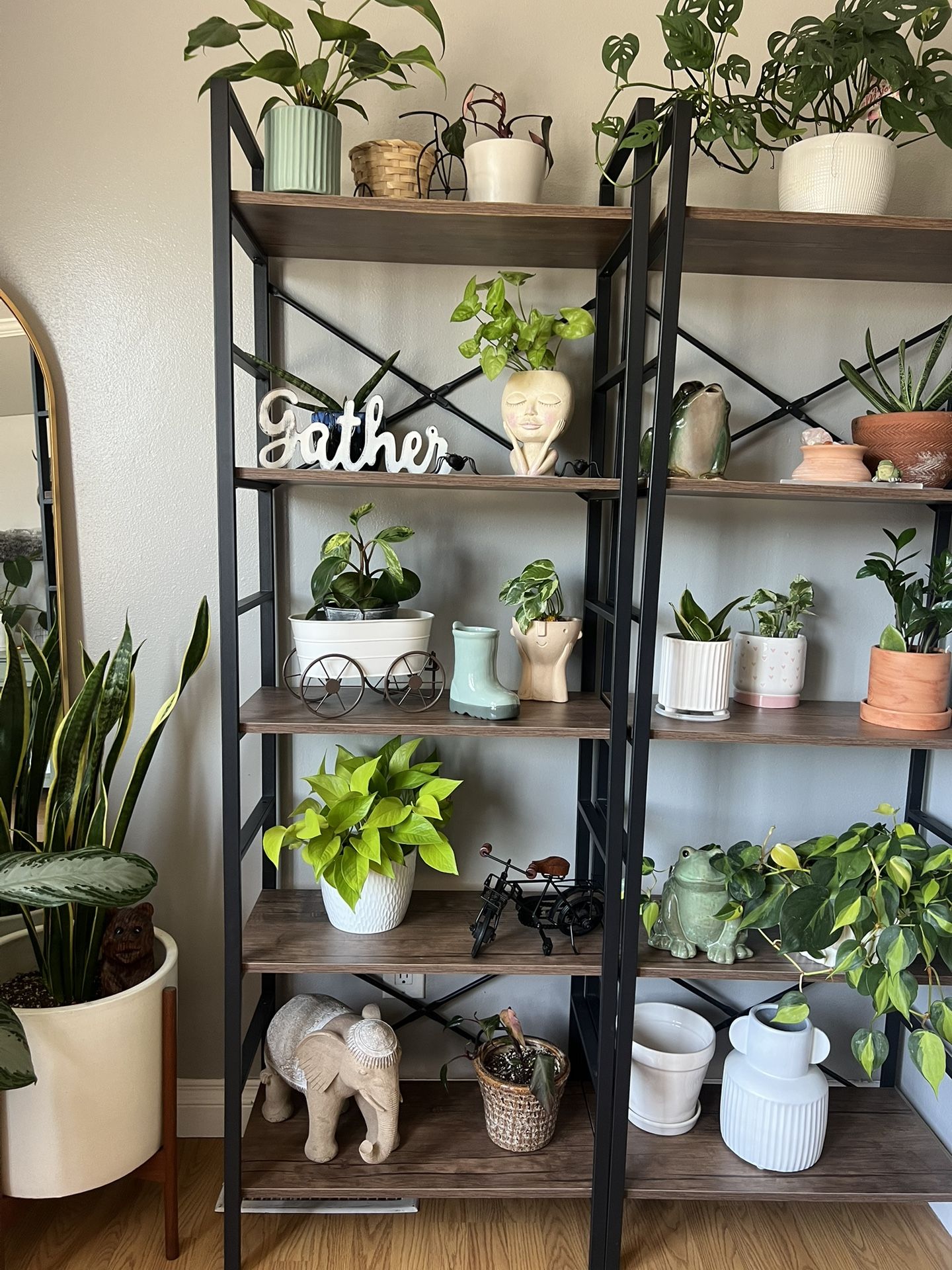 Shelves