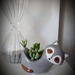Racoon Ceramic Pot with Live Succulents