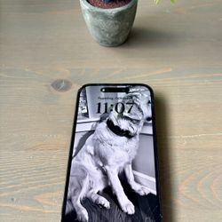 iPhone 14 Pro / 128GB / Black / T-Mobile Or Mint