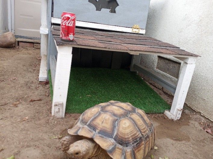 Pet House Around 19" 30lbs Make An Offer Pick Up In Santa Ana 