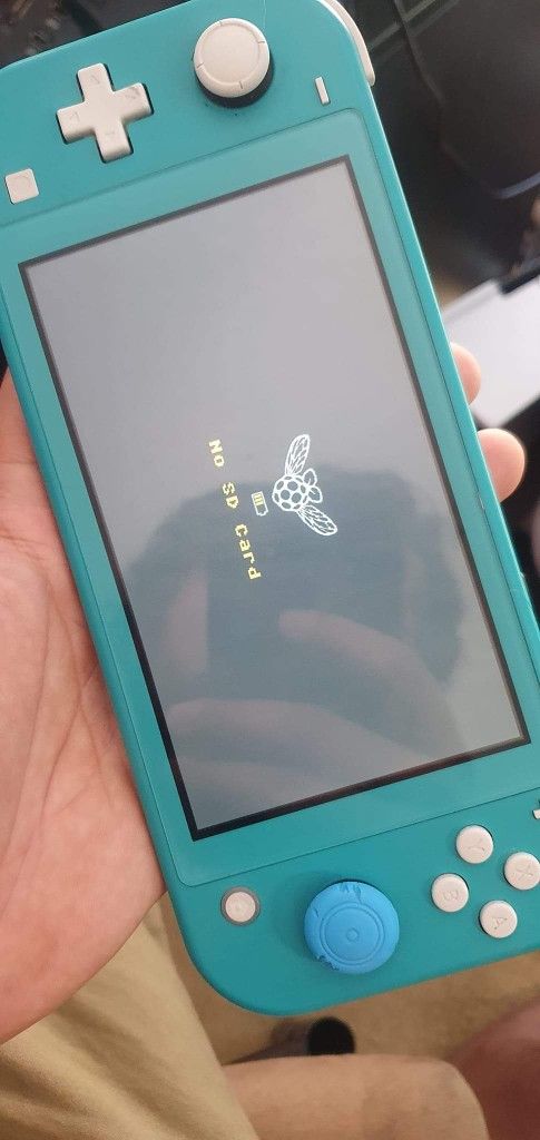 Nintendo Switch Mod Chip And Free Shop!