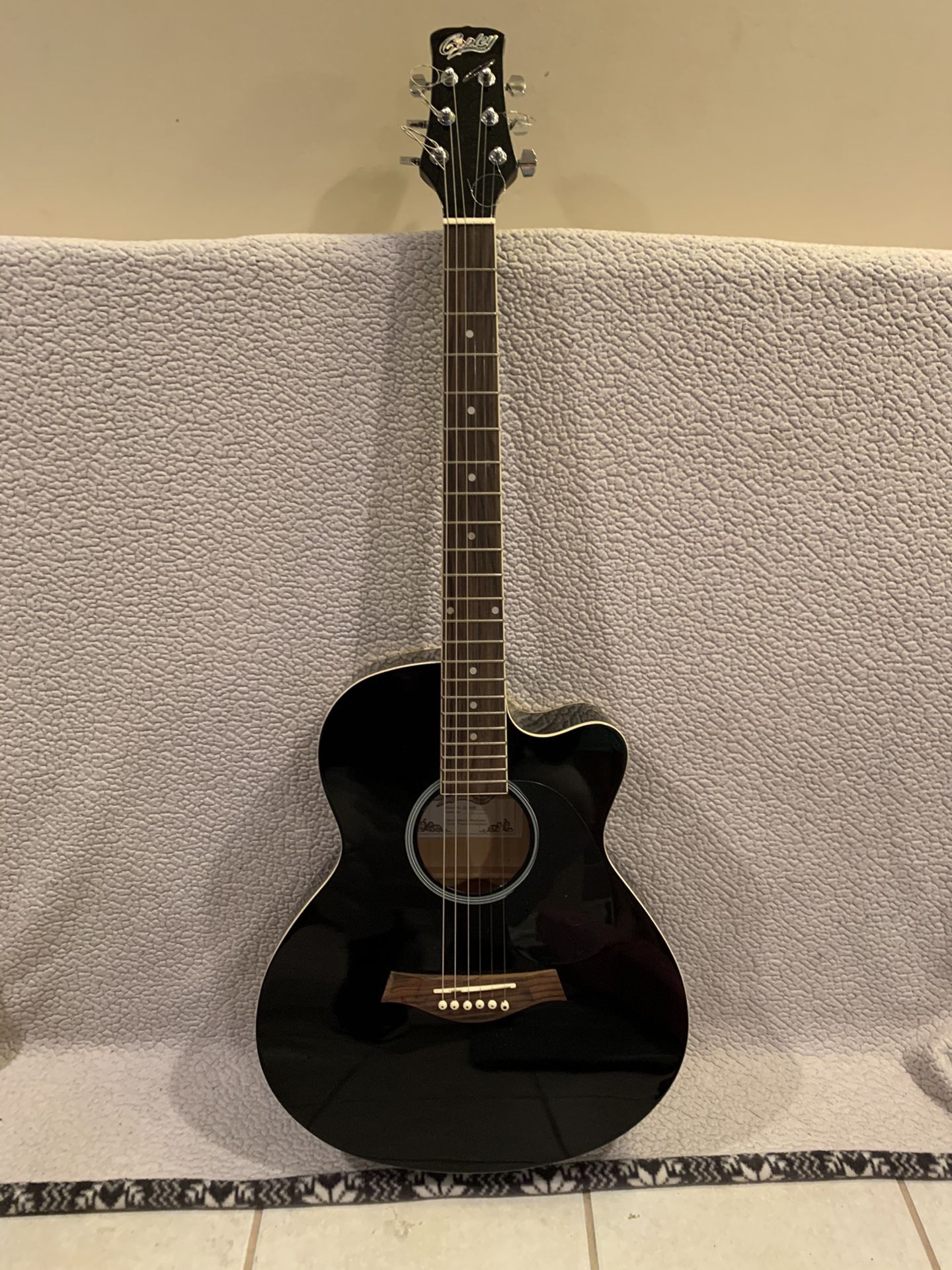 Copley CA-400B Acoustic Guitar w/Case