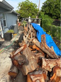 Oak wood. Free