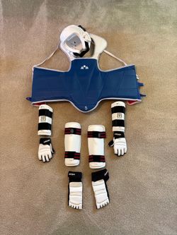 Martial arts sparring gear