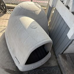 Dog House 