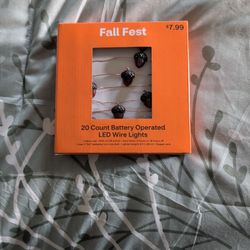 Fall Fest Acorn Leds