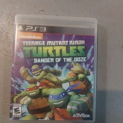 Ps3 Game Ninja Turtles Danger Of The Doze 15 Dollars Firm 