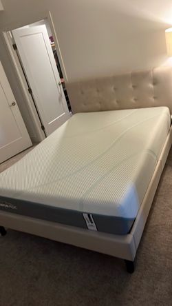 Queen Bed $150