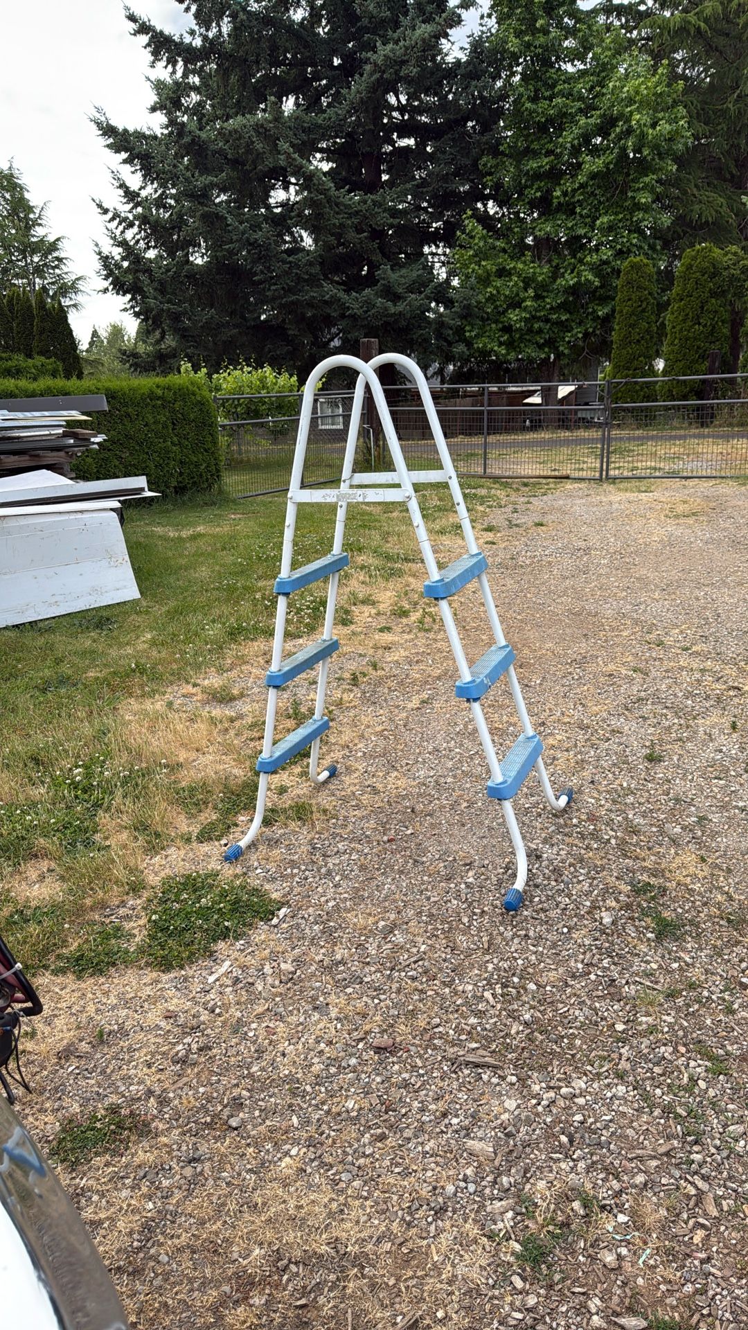 Swimming Pool Ladder
