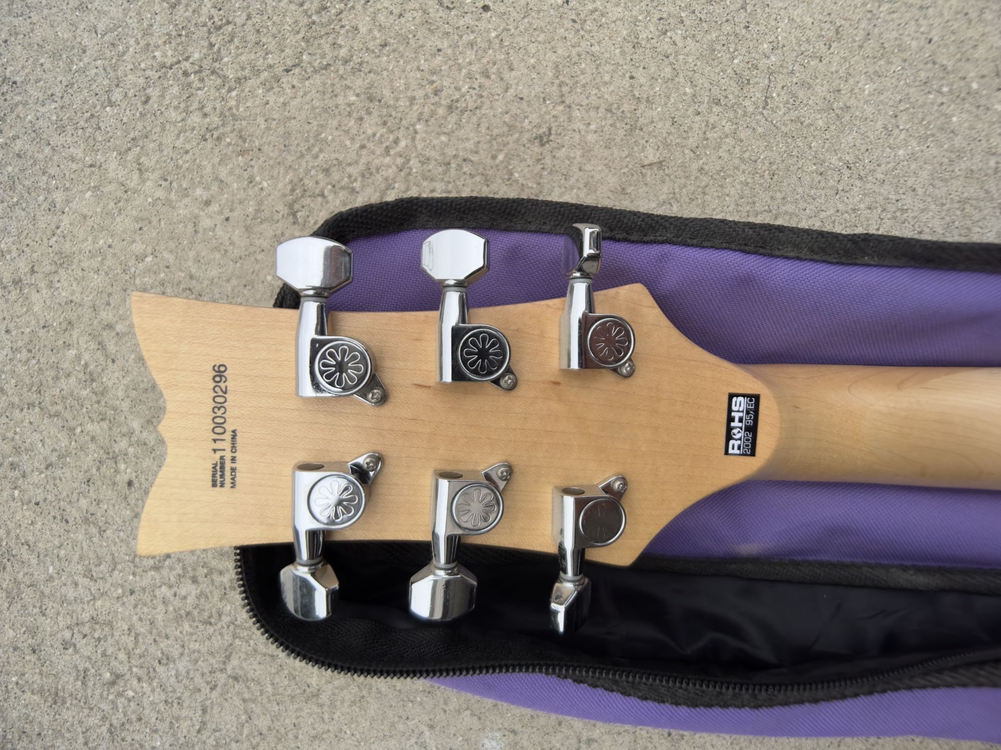 Daisy Rock Guitar