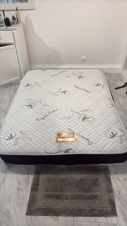 QUEEN SIZE MATTRESS LIGHT USE 50$