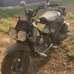2014 Honda Ruckus