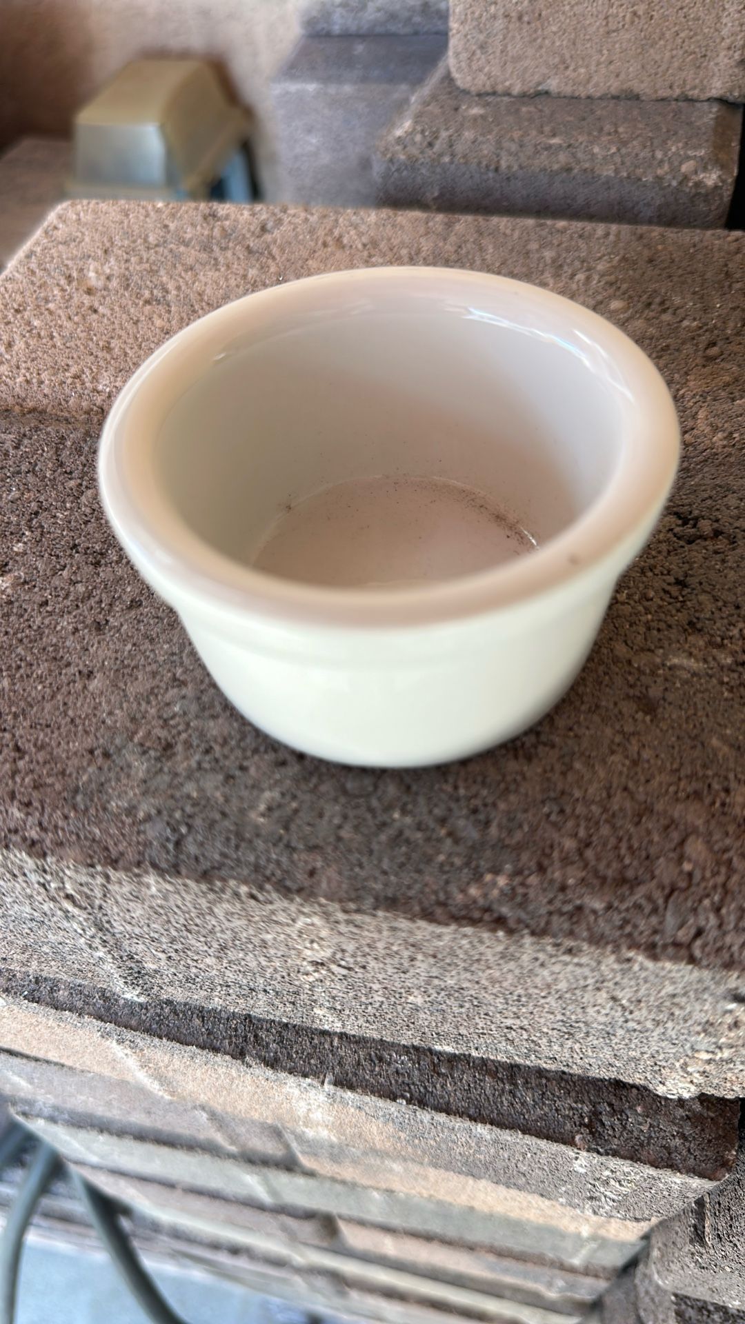 Small Cups For Dessert!!