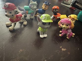 Paw patrol 