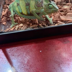 Everything Included House And Everything 